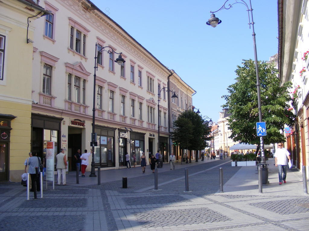 Garsoniera Central Sibiu Habitación foto